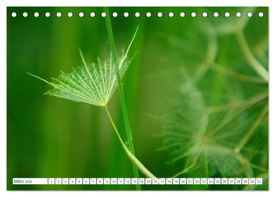 additionalImage8