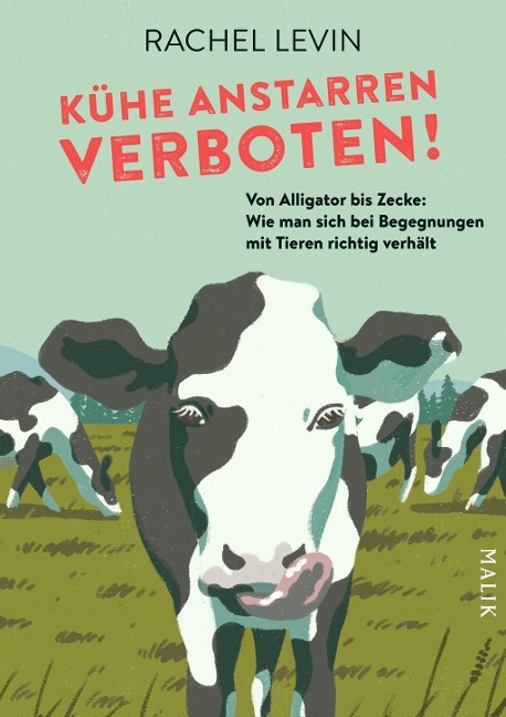 KÃ¼he anstarren verboten!