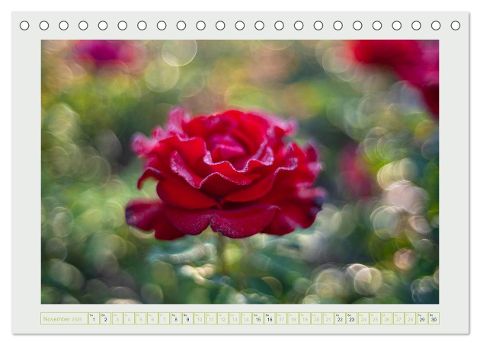 additionalImage3