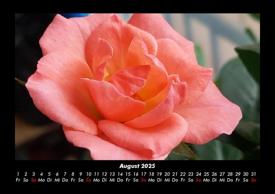 additionalImage12