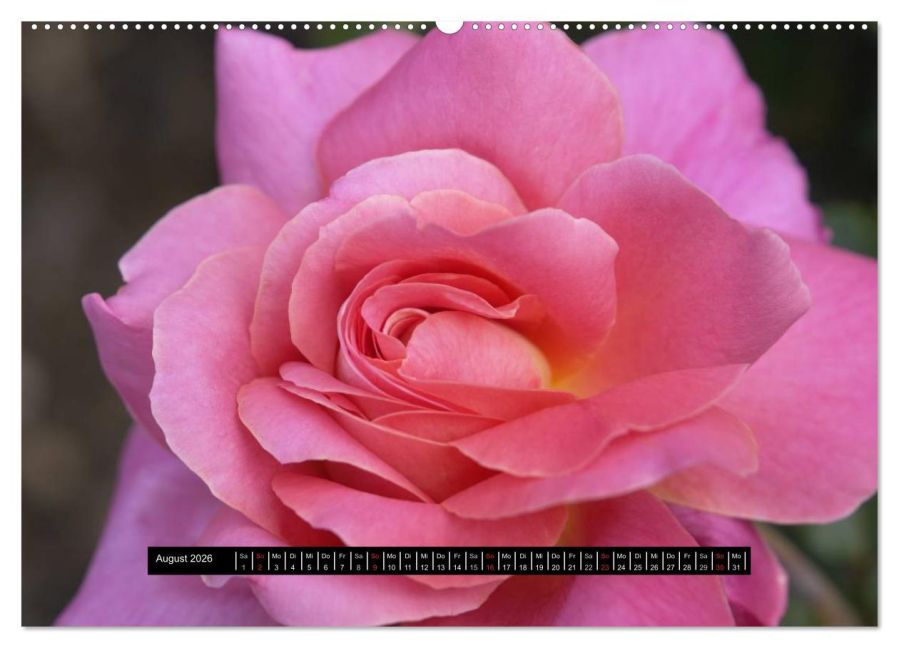additionalImage13