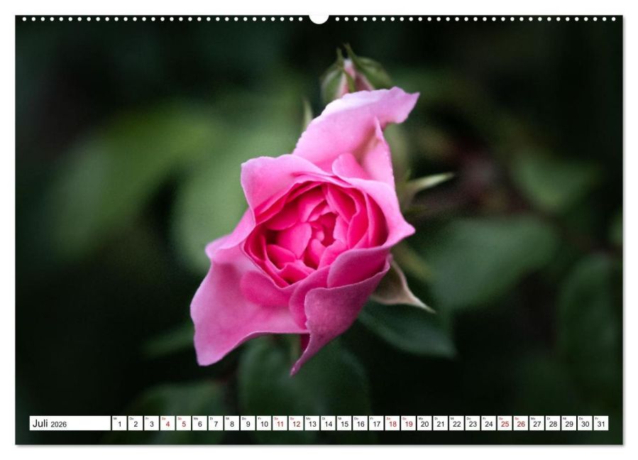 additionalImage11