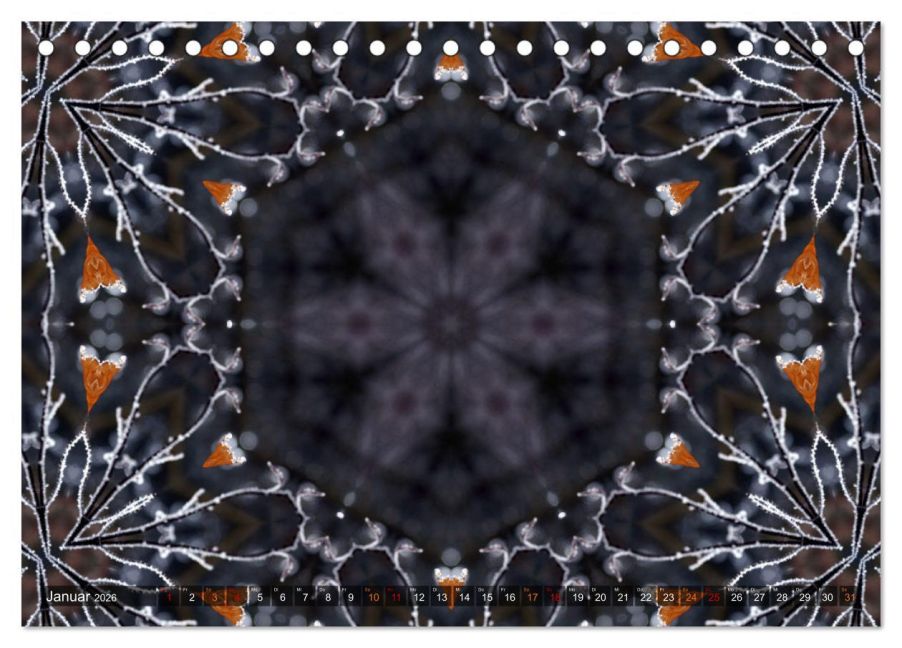 additionalImage6