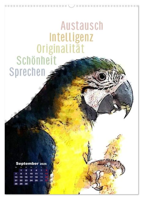 additionalImage13