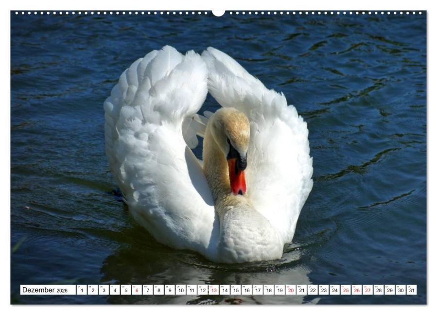 additionalImage4