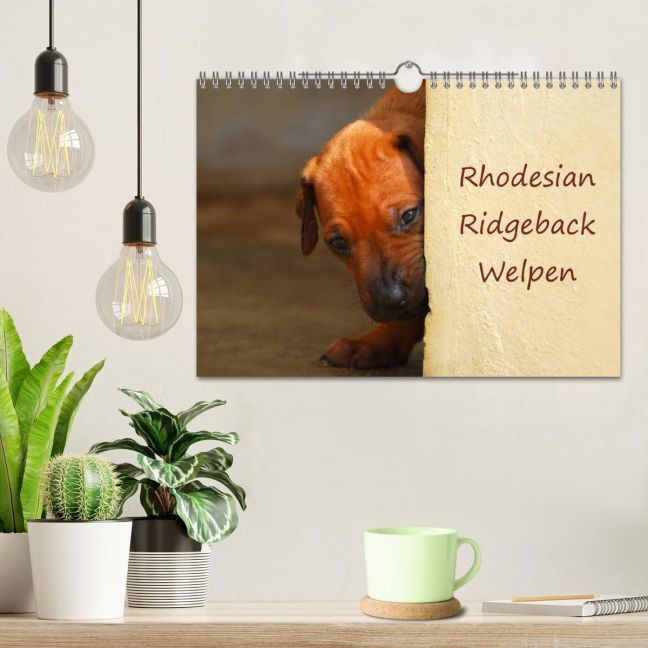 additionalImage1