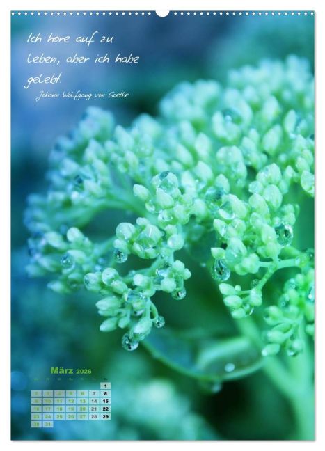 additionalImage8