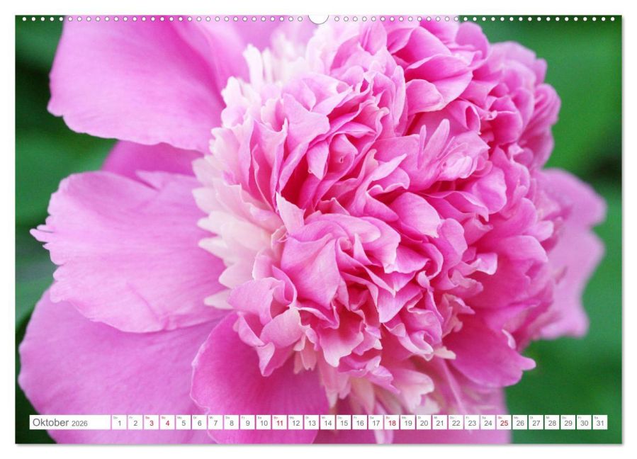 additionalImage1