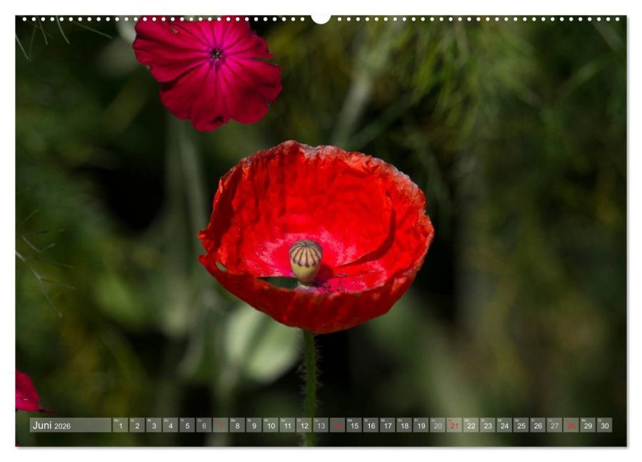 additionalImage10