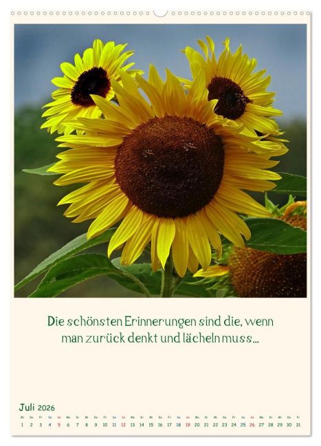 additionalImage11