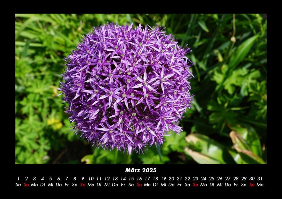 additionalImage7