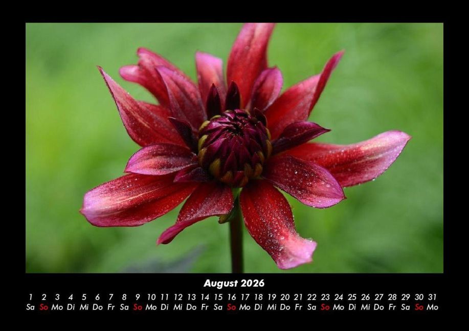 additionalImage12