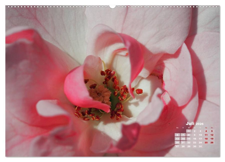 additionalImage11