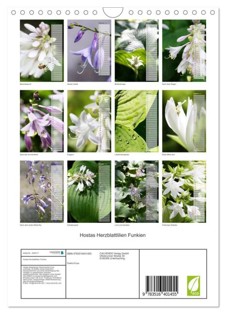 additionalImage5