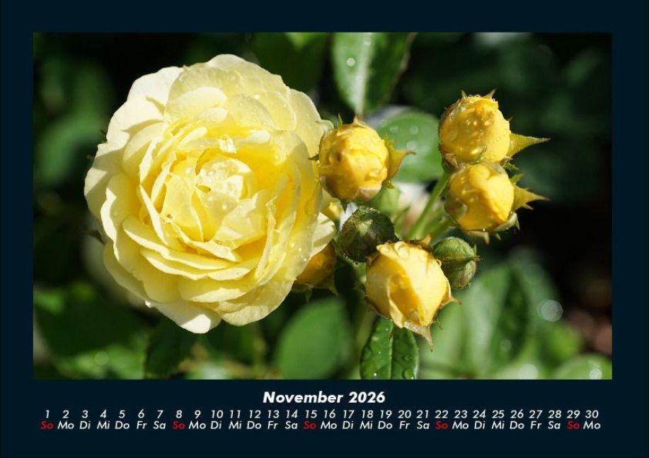 additionalImage3