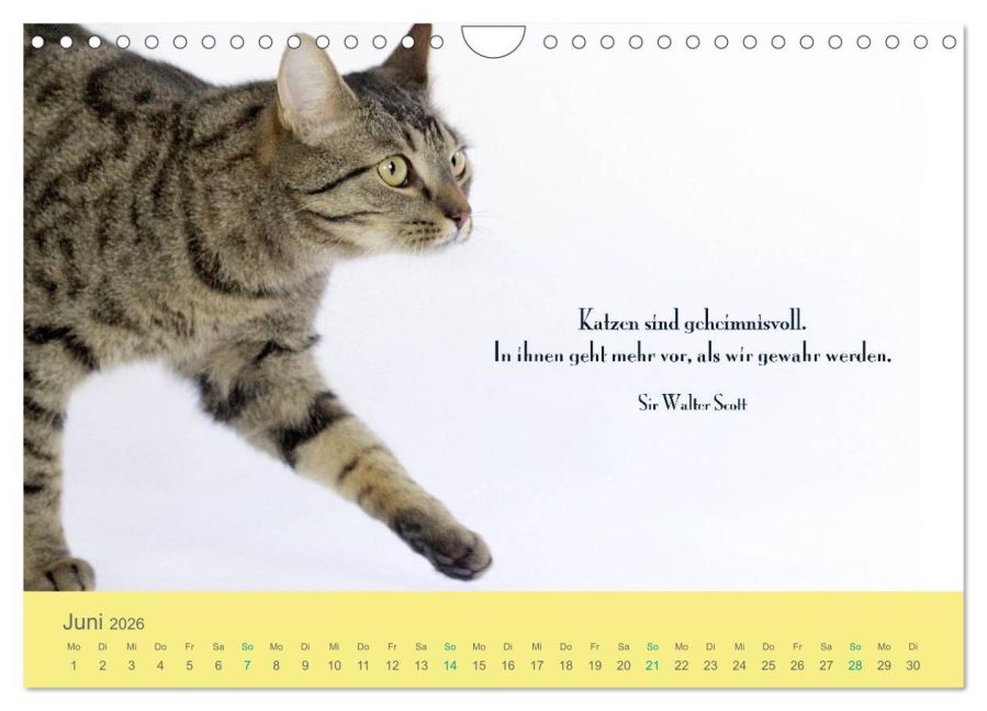additionalImage11