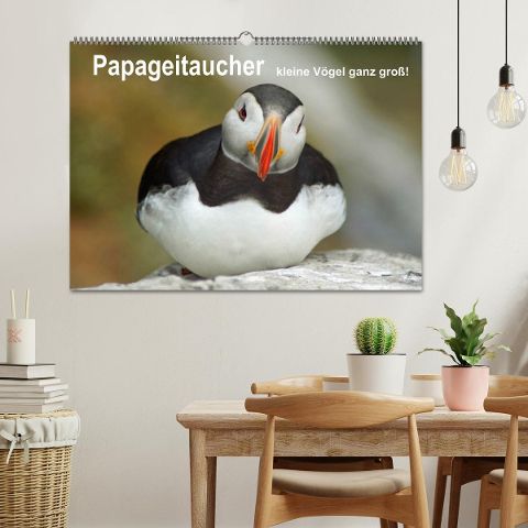 additionalImage1