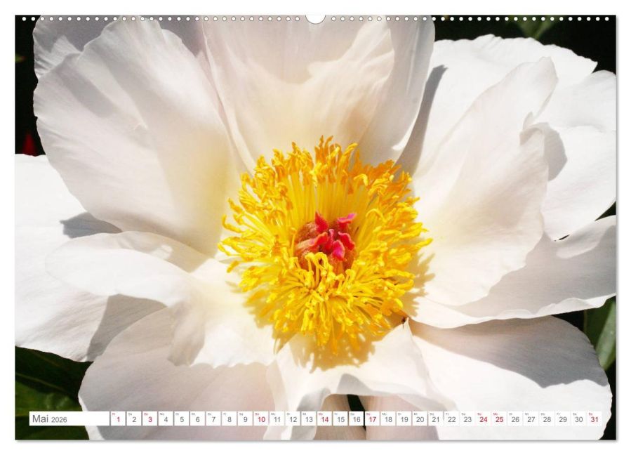 additionalImage10