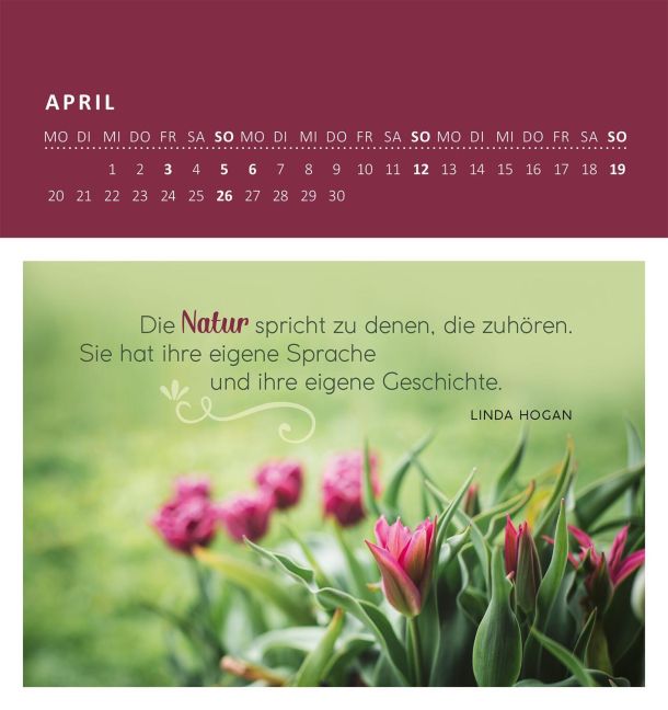 additionalImage2