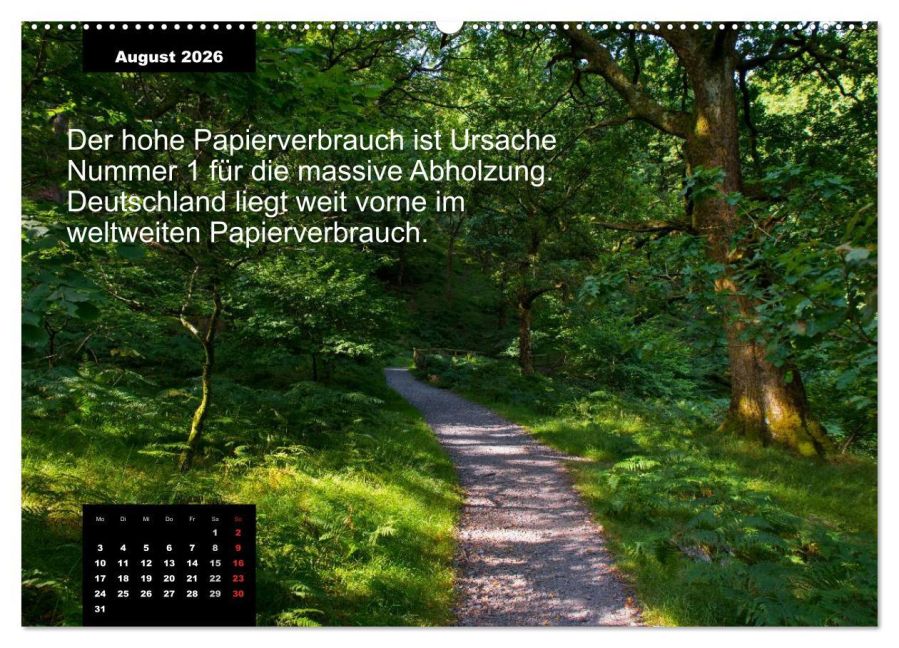 additionalImage13