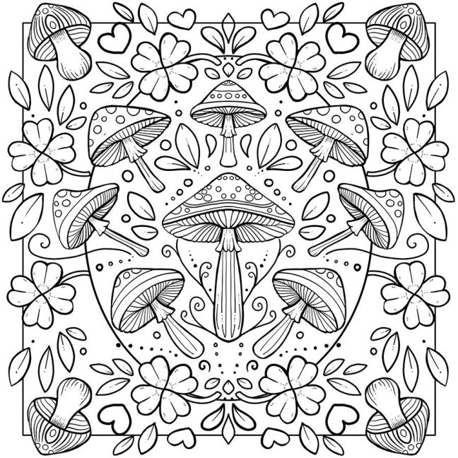 additionalImage4