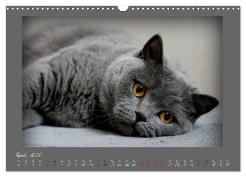 additionalImage9