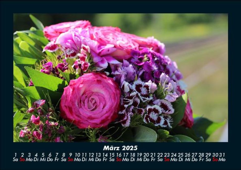 additionalImage7