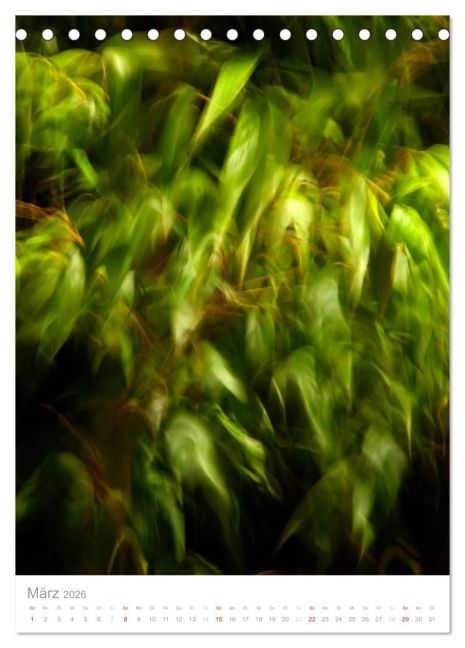 additionalImage8