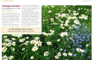 additionalImage1