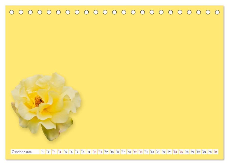 additionalImage2