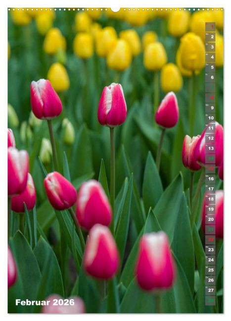 additionalImage6