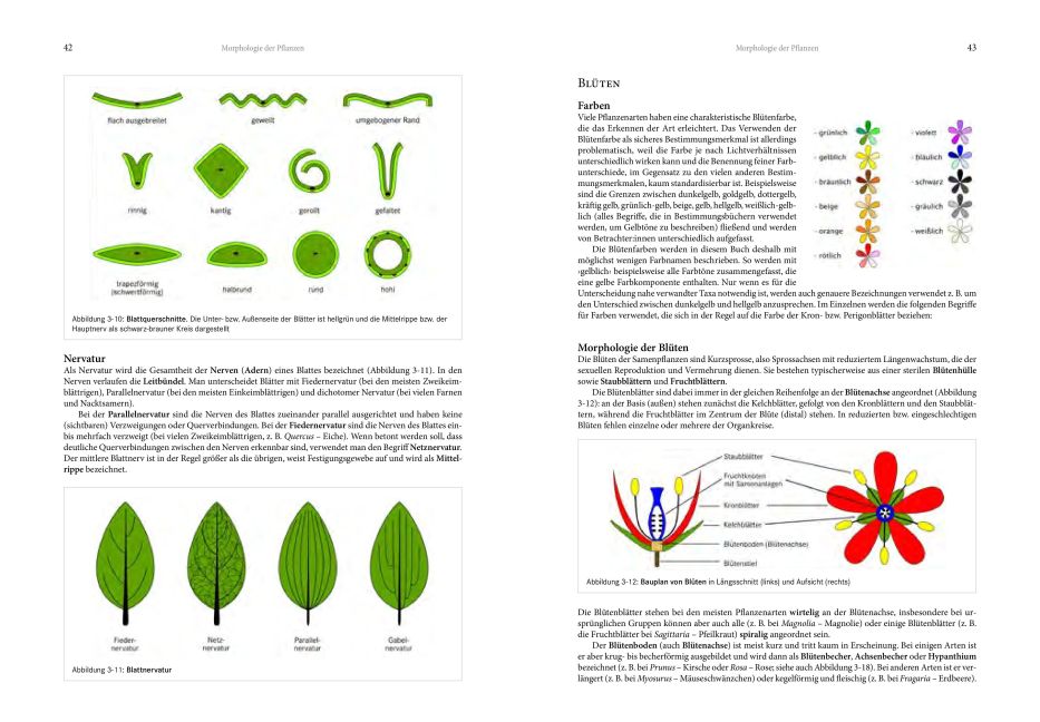 additionalImage6