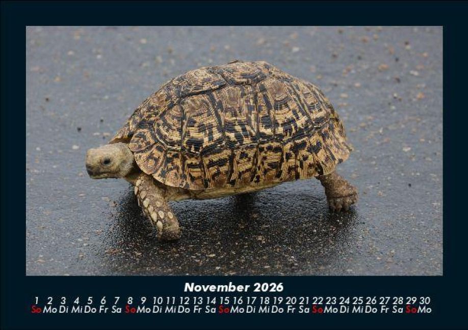 additionalImage3