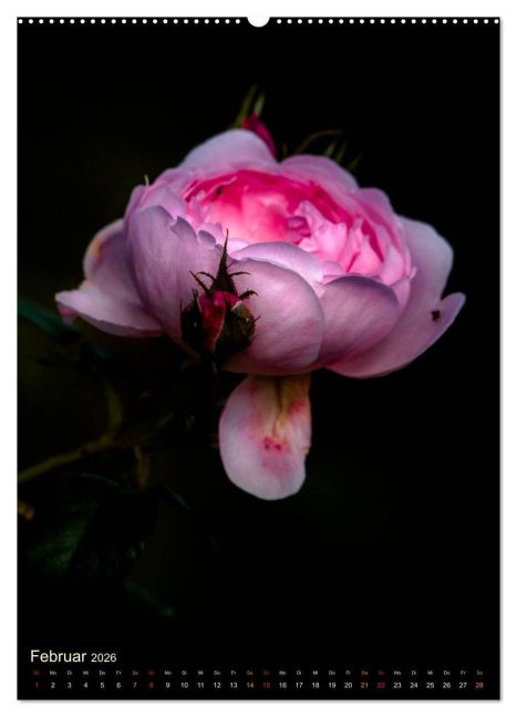 additionalImage6