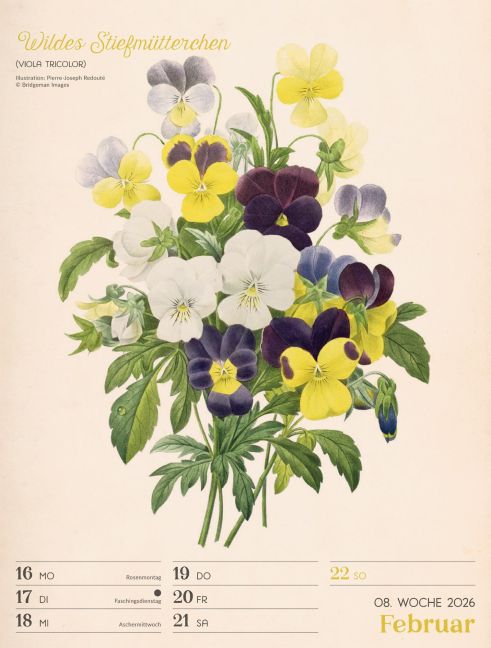 additionalImage11