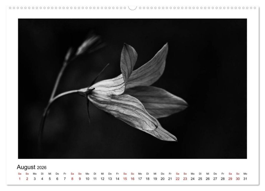 additionalImage12