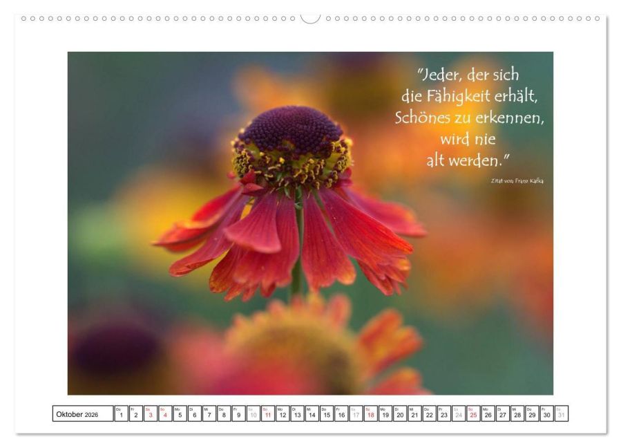 additionalImage1