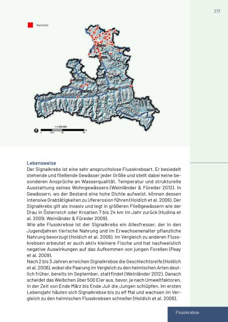 additionalImage12