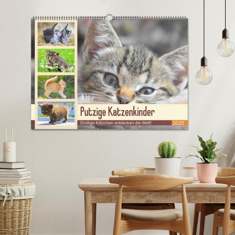additionalImage1