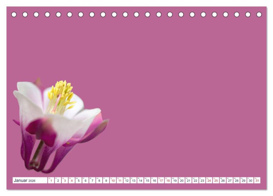 additionalImage6