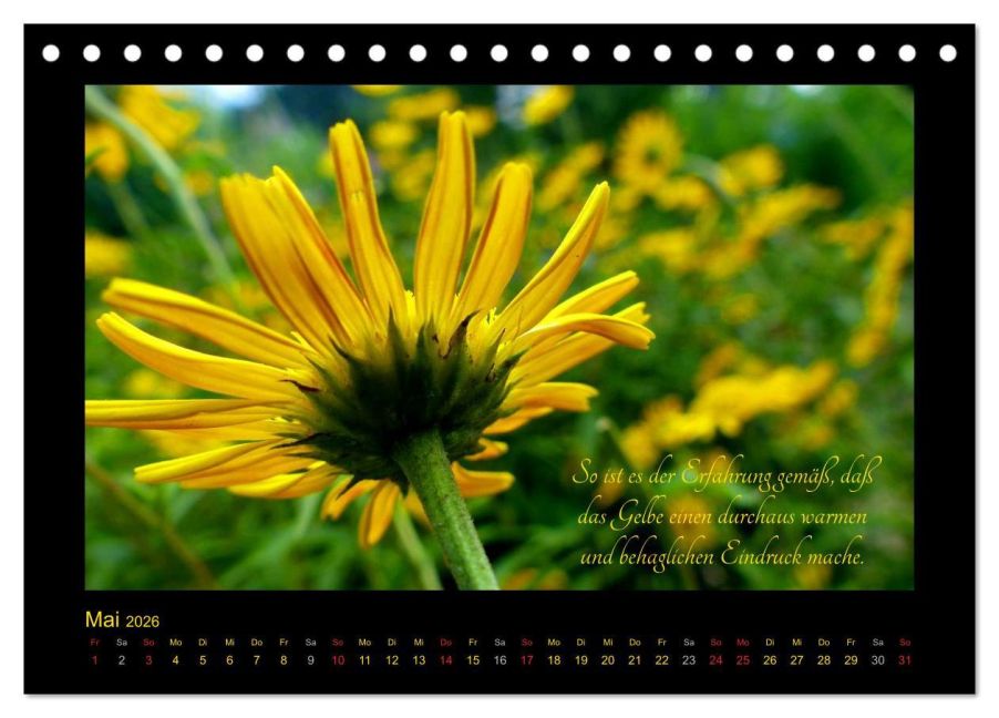 additionalImage10