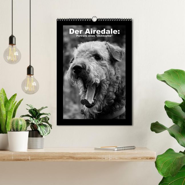 additionalImage1