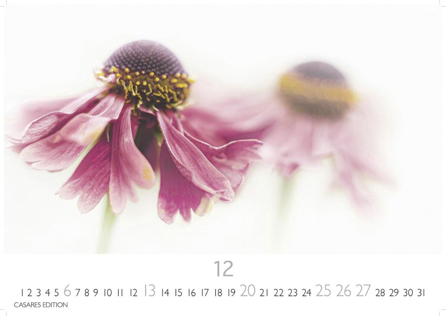additionalImage12