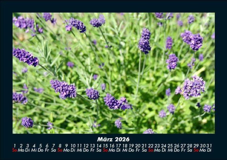 additionalImage7
