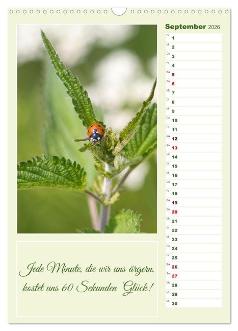 additionalImage14