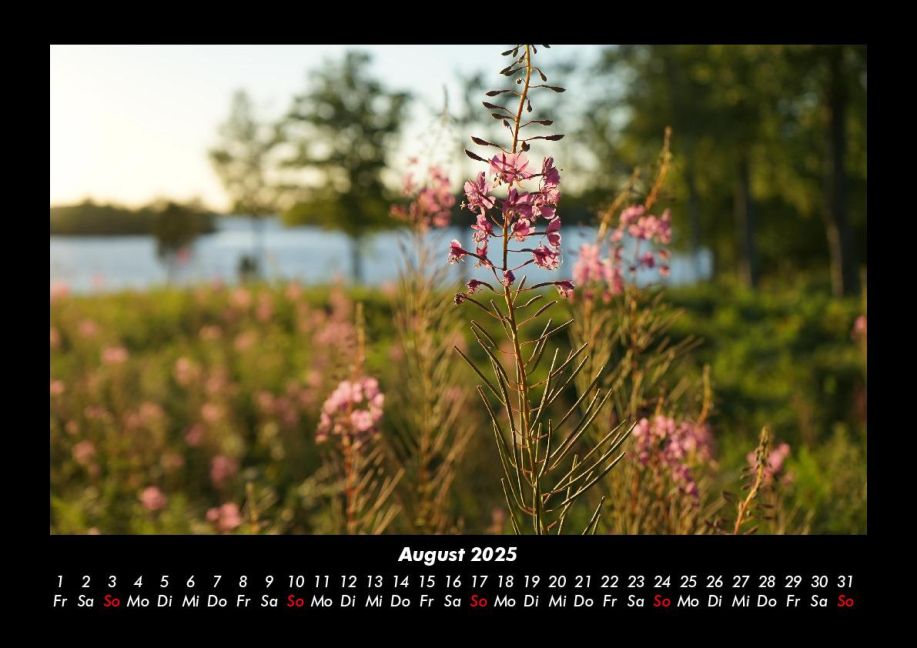 additionalImage12