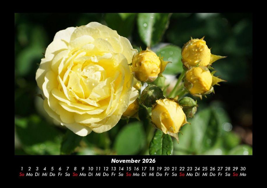additionalImage3