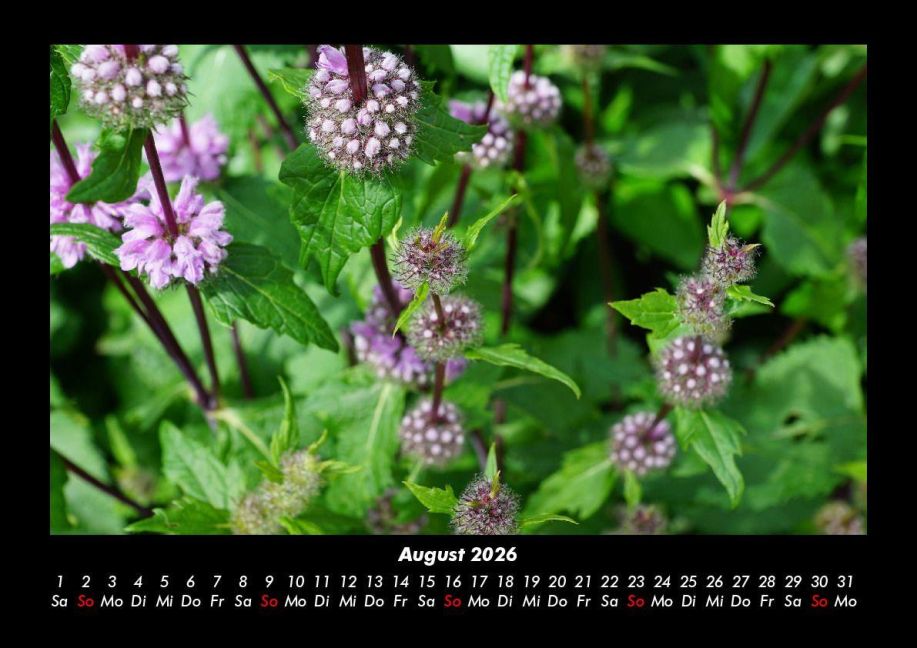 additionalImage12