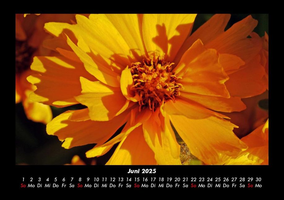 additionalImage10