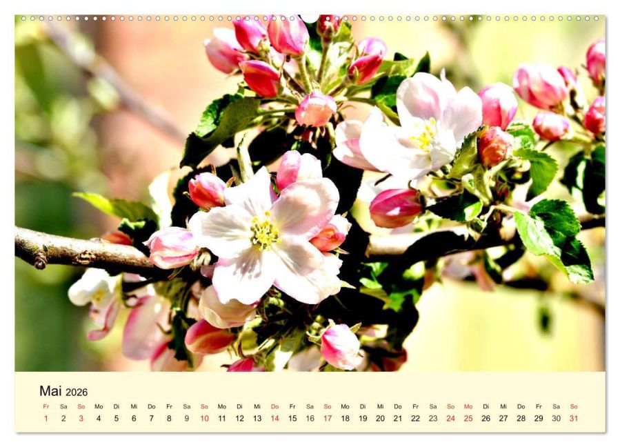 additionalImage10